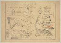 Aeronautics technical illustration poster featuring figures on insect flight, wing design, propellers, parachutes, and airships.
