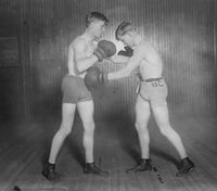 Knockout Brown and Sparring Partner Poster Print showcasing a dynamic boxing scene.