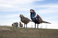 Pheasants on the Prairie Poster Print showcasing vibrant colors and detailed artwork.