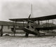 Amphibian Plane Poster Print - 1/19/25 available in multiple sizes.