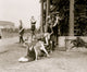 Bathing Beach Beauties by the Tidal Basin poster print featuring beachgoers in Washington, DC.