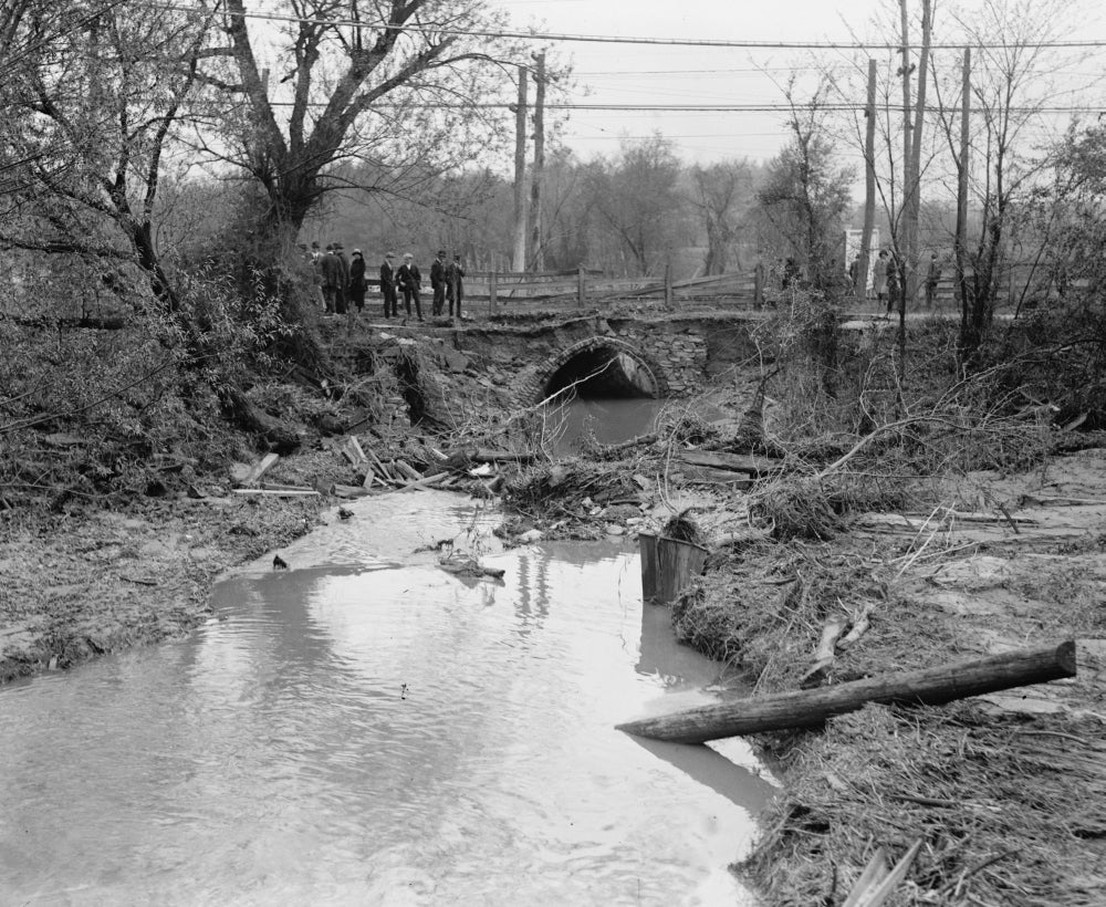 African Americans examining flood debris in Washington, DC poster print.