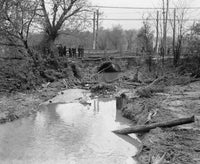 African Americans examining flood debris in Washington, DC poster print.