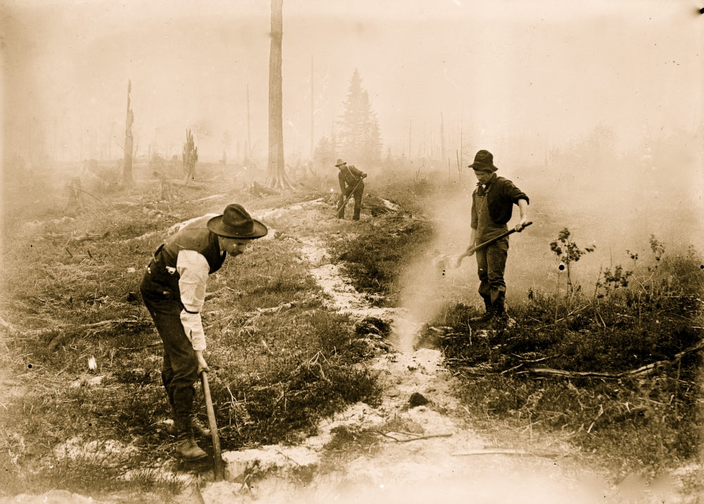 Firefighters of Forest Fire Poster Print showcasing bravery in South Dakota.