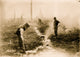 Firefighters of Forest Fire Poster Print showcasing bravery in South Dakota.
