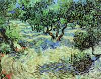 Olive Grove Poster Print showcasing serene nature artwork