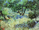 Olive Grove Poster Print showcasing serene nature artwork