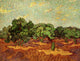 Olive Grove Pale Blue Sky Poster Print showcasing a serene landscape.