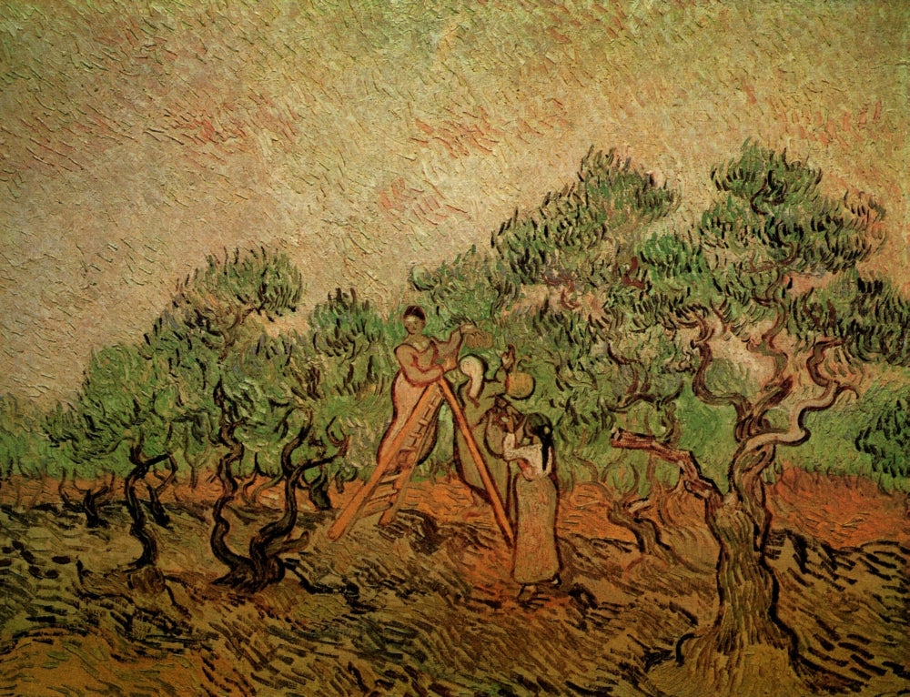 Olive Picking Poster Print showcasing serene nature artwork.
