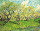 Orchard in Blossom Poster Print showcasing beautiful floral artwork.