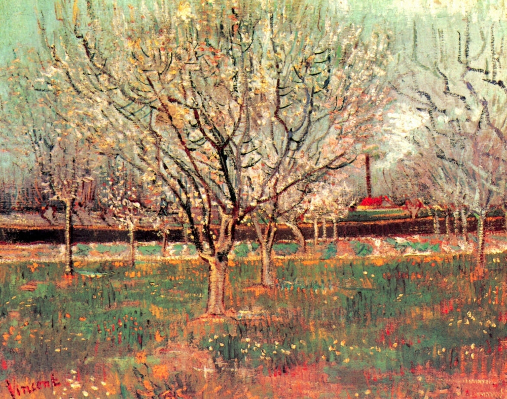 Orchard in Blossom Plum Trees Poster Print showcasing vibrant plum trees in bloom.