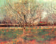 Orchard in Blossom Plum Trees Poster Print showcasing vibrant plum trees in bloom.