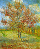 Pink Peach Tree in Blossom Poster Print - Floral Art Decor