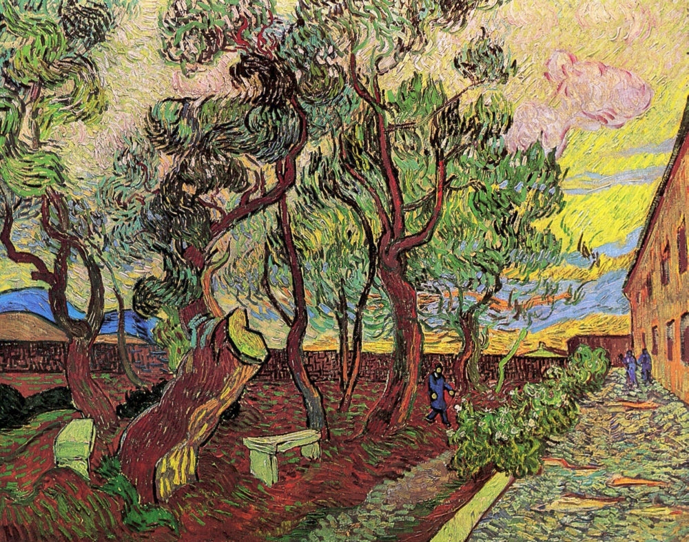 The Garden of Saint-Paul Hospital Poster Print - 18 x 24 inches