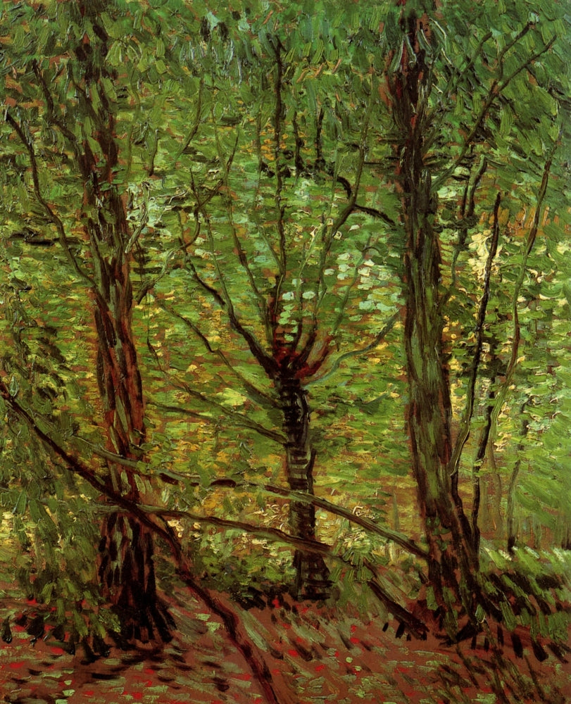 Trees and Undergrowth Poster Print showcasing lush forest details.