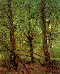 Trees and Undergrowth Poster Print showcasing lush forest details.