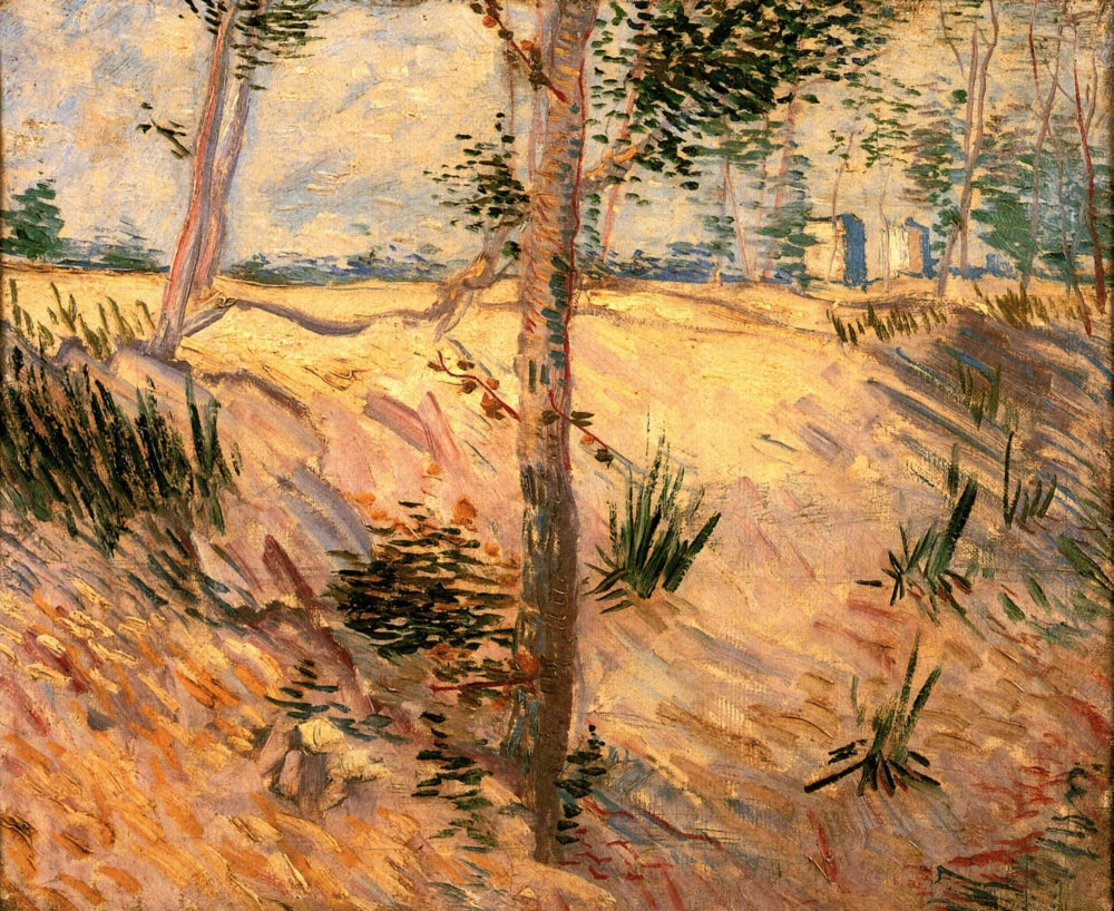 Trees in a Field on a Sunny Day Poster Print showcasing vibrant nature scenery.