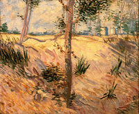 Trees in a Field on a Sunny Day Poster Print showcasing vibrant nature scenery.