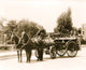 Stationary fire engine drawn by two horses poster print