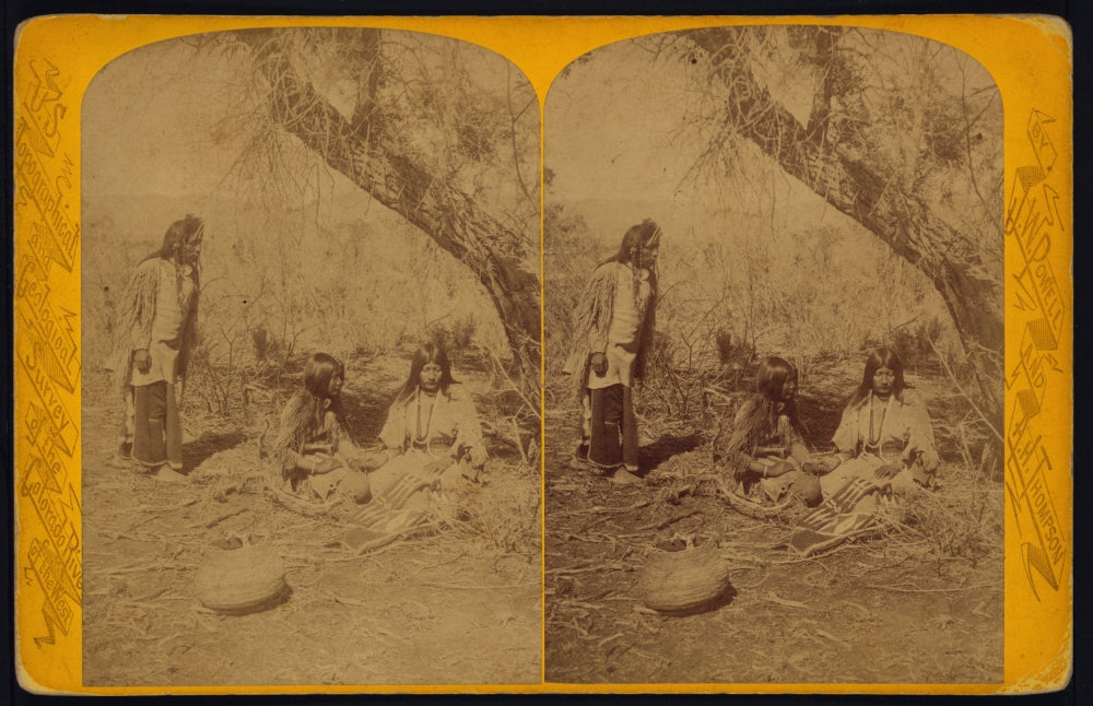 Two Women Weaving Baskets Poster Print featuring natural scene under a tree.