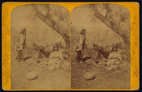 Two Women Weaving Baskets Poster Print featuring natural scene under a tree.