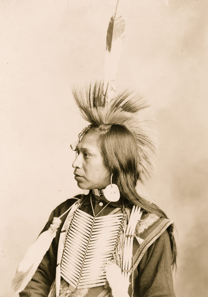 Indian Half-Length Portrait Poster Print in native dress