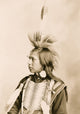 Indian Half-Length Portrait Poster Print in native dress