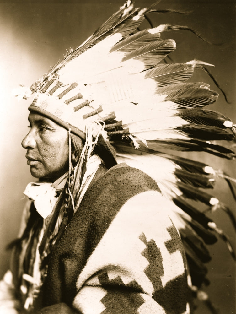 Sego Shoshone Indian half-length portrait poster print.