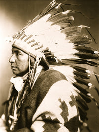 Sego Shoshone Indian half-length portrait poster print.