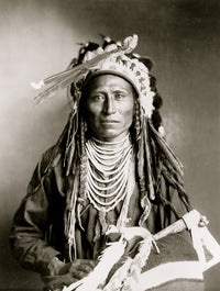 Heebe-tee-tse Shoshone Indian half-length portrait poster print.