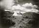 Encampment of Tepees Poster Print showcasing traditional tepees in nature.