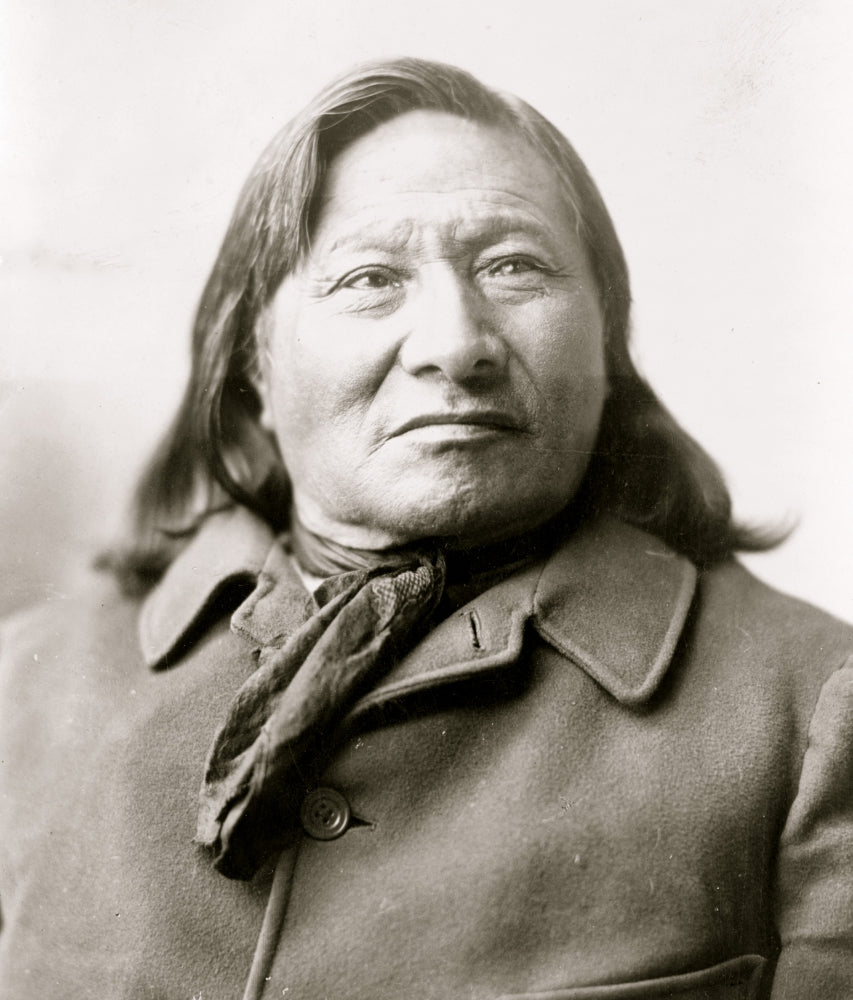 Rain in the Face Native American Portrait Poster Print