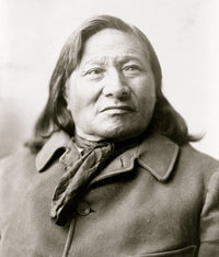 Rain in the Face Native American Portrait Poster Print