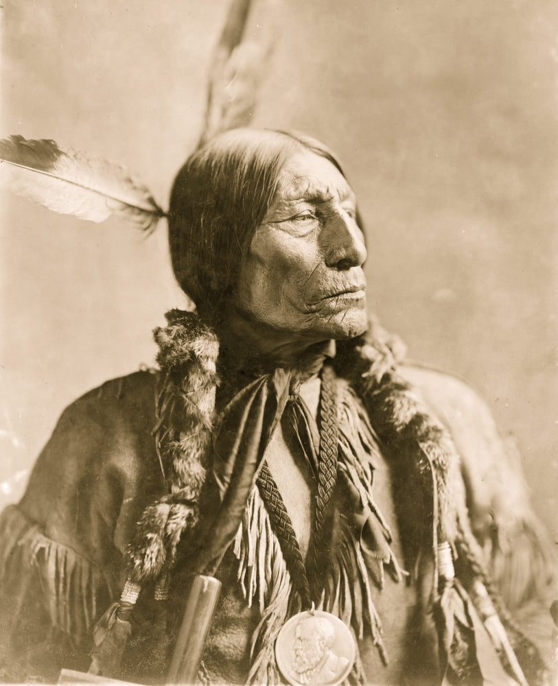 Wolf Robe Southern Cheyenne Indian Portrait Poster Print