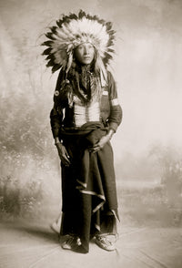 Eagle Shirt Sioux Indian full-length portrait poster print
