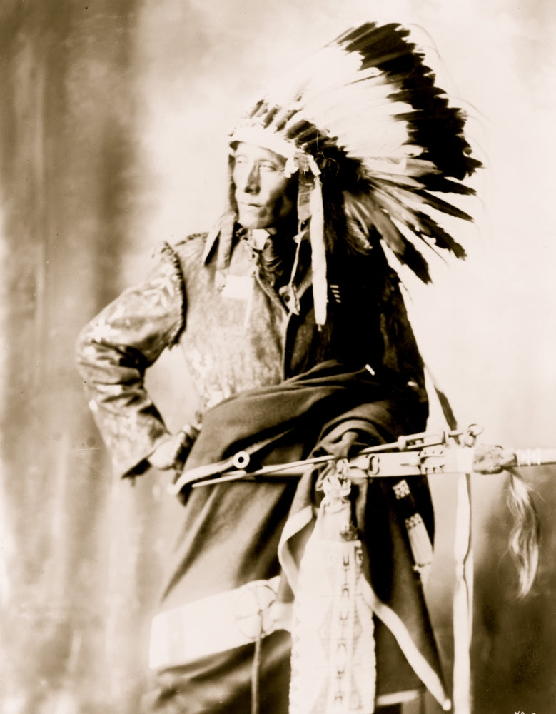 Bird Head Sioux Poster Print showcasing vibrant colors and Native American culture.