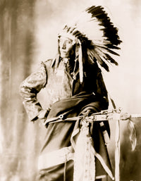 Bird Head Sioux Poster Print showcasing vibrant colors and Native American culture.