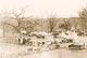 Osage Camp Poster Print showcasing serene outdoor scenery