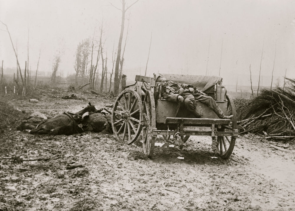 Dead German Artilleryman Cart and Horses Poster Print
