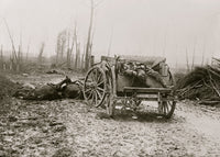 Dead German Artilleryman Cart and Horses Poster Print