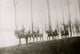 German Hussar Patrol Poster Print showcasing historical military art.