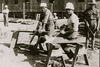 Interned Germans Building Barracks at Ft. Douglas Poster Print