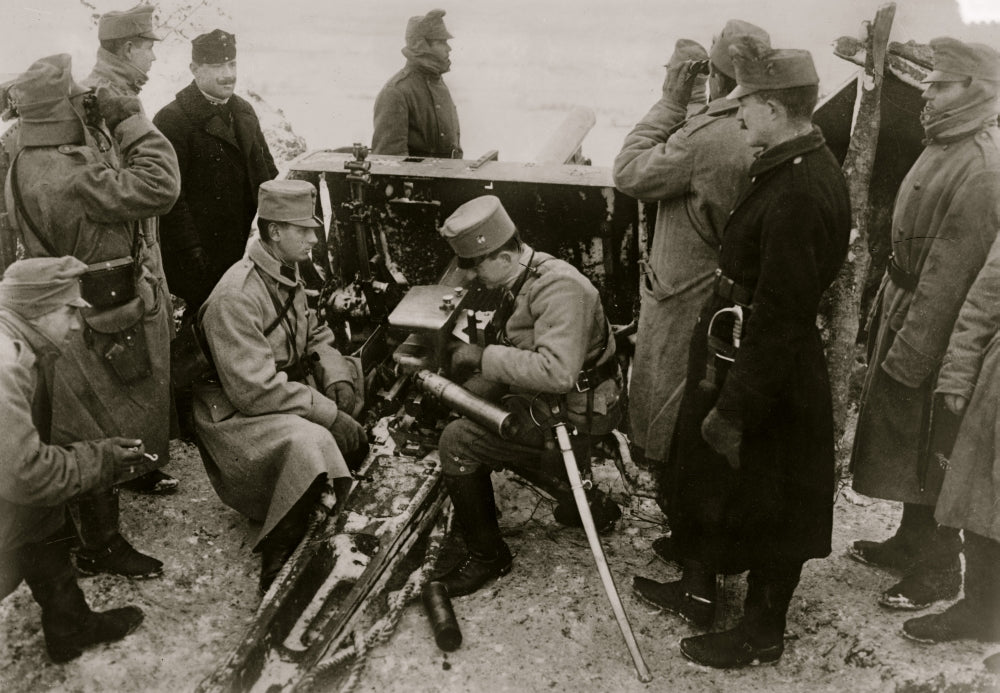 Austrian Artillery in the Bukowina Poster Print showcasing military history.