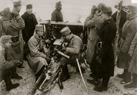 Austrian Artillery in the Bukowina Poster Print showcasing military history.