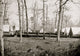 Brandy Station Field Hospital Poster Print showcasing Civil War history.