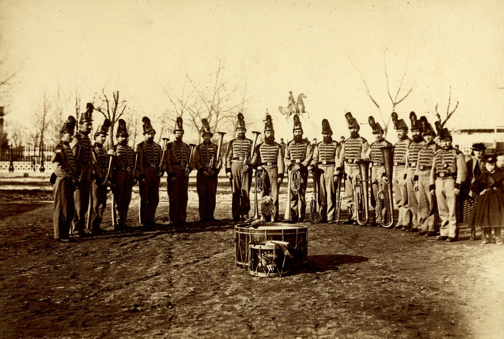 Band of 9th Veteran Reserve Corps group portrait poster print from April 1865.