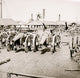 Richmond VA Siege Guns at Rocketts Poster Print