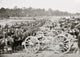 Richmond Virginia Major Robertson's Battery of Horse Artillery Poster Print