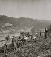 Jericho Mills Virginia 50th New York Engineers building a road poster print