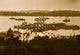 Belle Plain Landing, Virginia photo print showing camp and transports at Lower Landing.